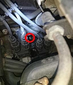 99 has engine leaking oil-oil_leak_01.jpg