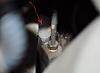 Camry 2004 4 cyl clutch master cylinder replacement-2741.jpg